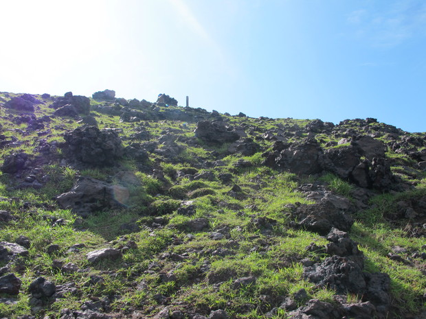 a0166196_937988.jpg
