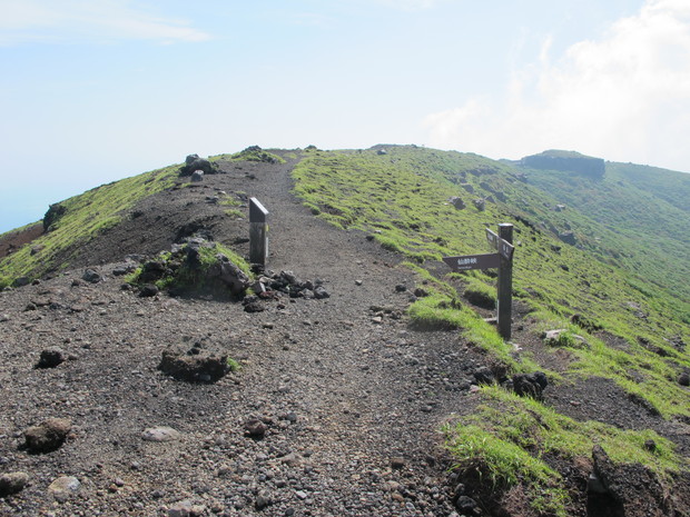 a0166196_939473.jpg
