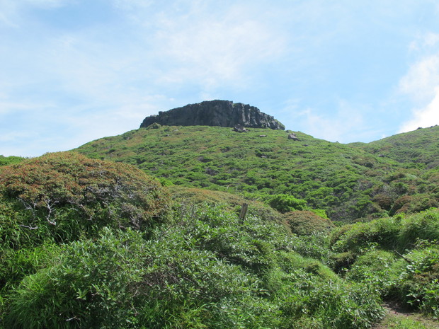 a0166196_9424112.jpg
