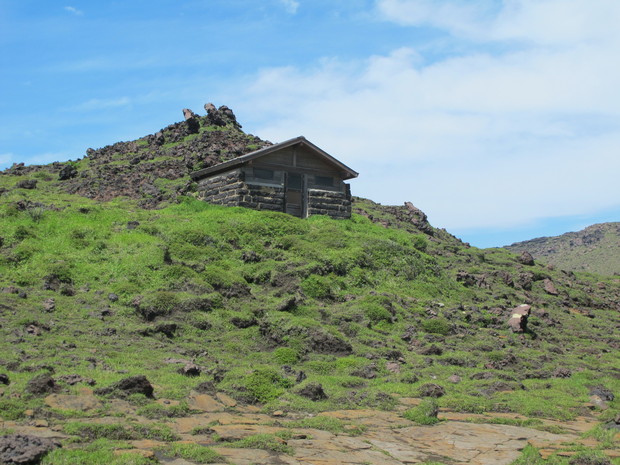 a0166196_9435687.jpg