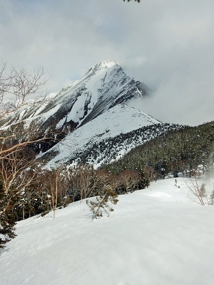e0077899_975610.jpg