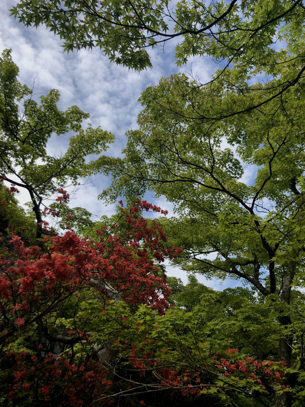 d0161702_18564949.jpg