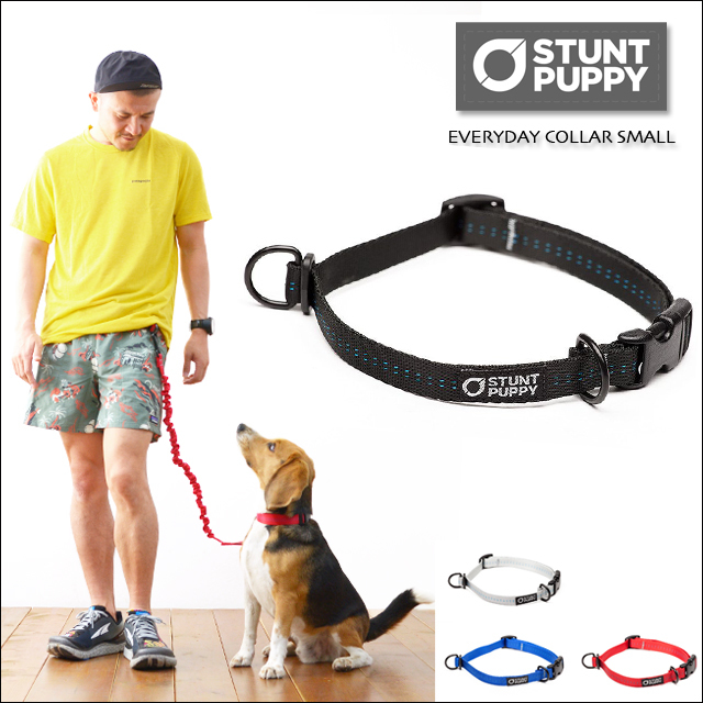 STUNT PUPPY [スタントパピー] EVERYDAY COLLAR SMALL[EC001] カラー・リード・首輪・MEN\'S/LADY\'S_f0051306_16195083.jpg