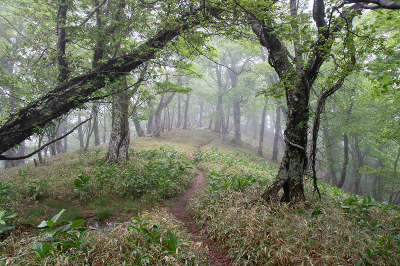 b0244811_22551644.jpg