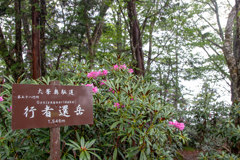 b0244811_22591358.jpg