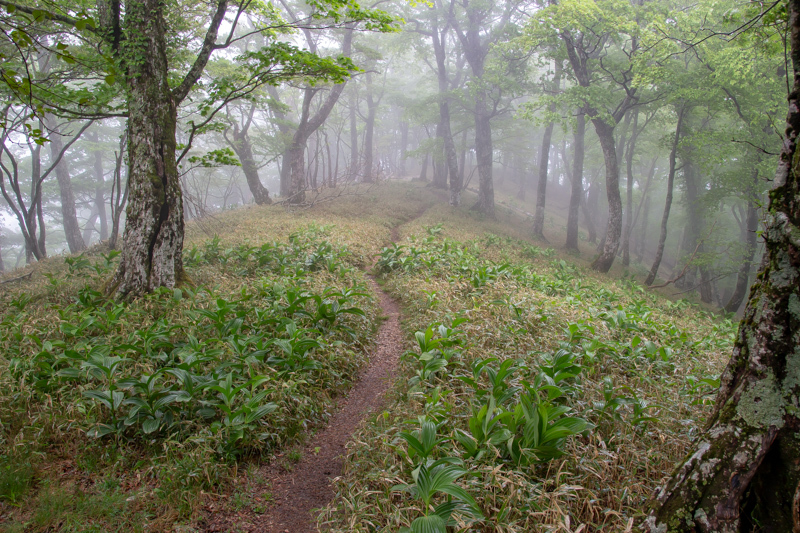 b0244811_22592229.jpg