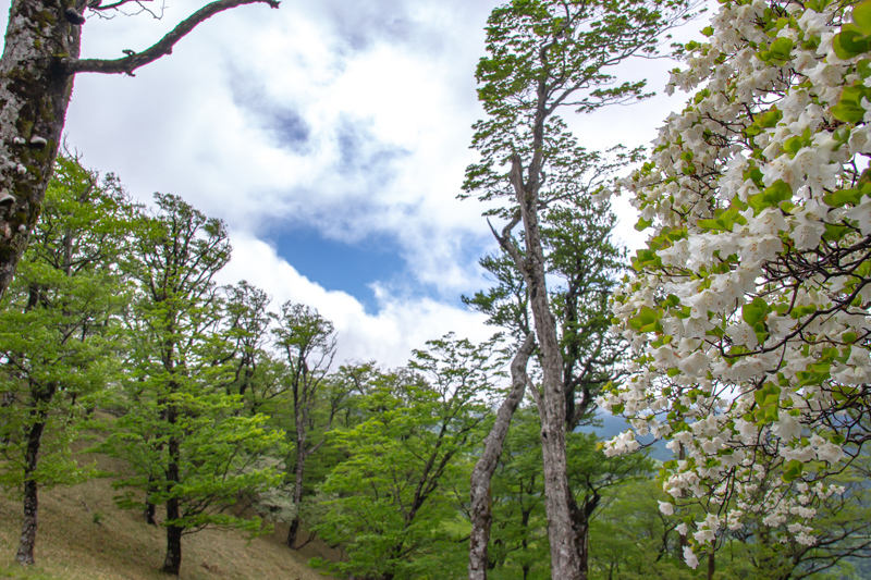 b0244811_23053489.jpg