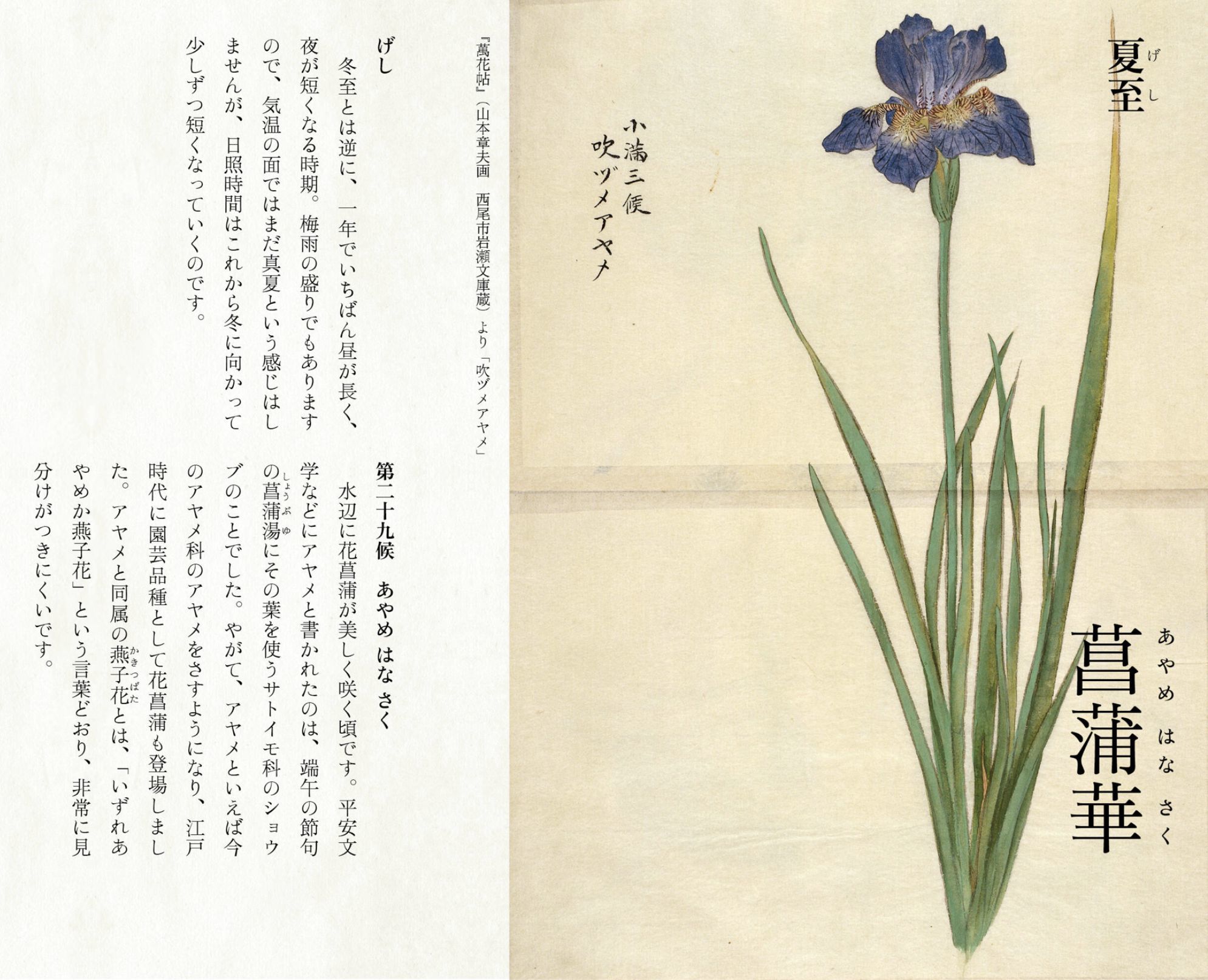 昼まで本格的な雨が続く_c0025115_22180343.jpg