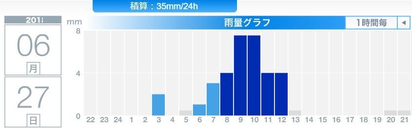昼まで本格的な雨が続く_c0025115_22233181.jpg