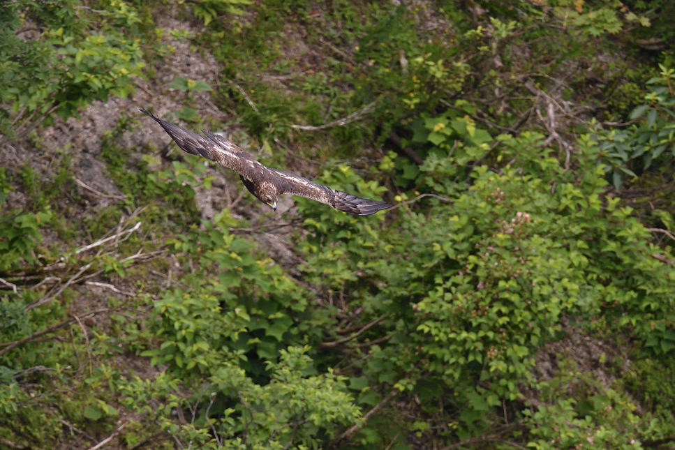 f0288418_07394966.jpg