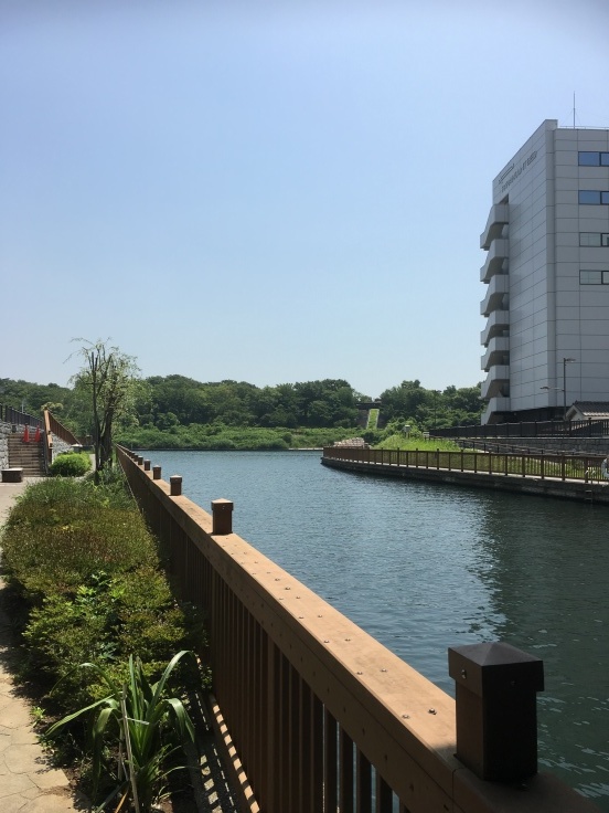今年もほぼ釣り禁止ですか 自然と遊ぼう たけ千代釣行記