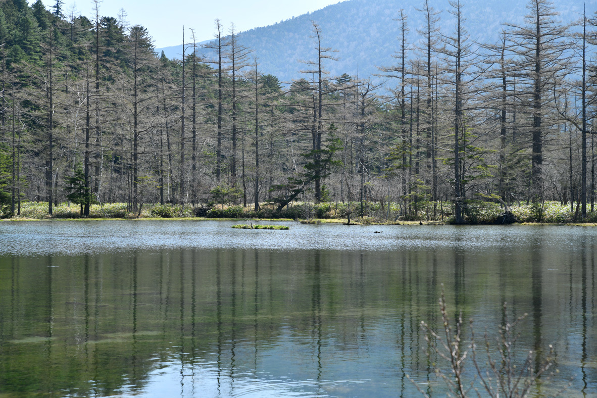 ”美”合気道「美と美」「美と美と美」「美と美と美と美と美」「美人美人」「自然の美と美」_f0033831_05131947.jpg