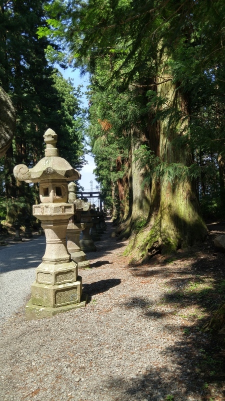f0361132_16315056.jpg