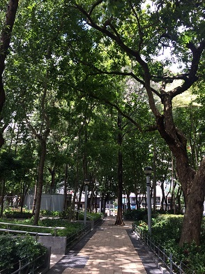 f0371533_15073921.jpg