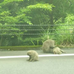 c0077338_21014374.jpg