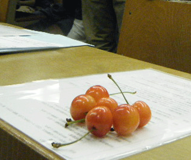 e0371039_845332.gif