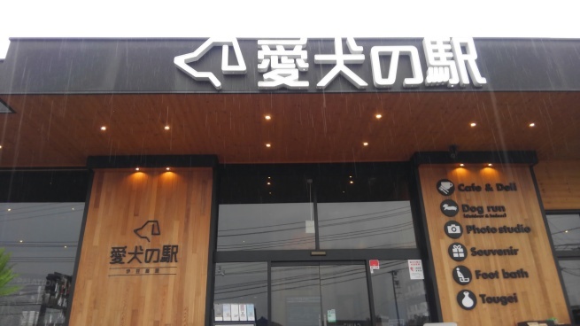 f0210439_23064946.jpg