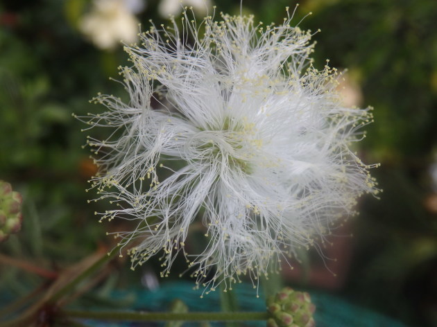 a0054240_20382951.jpg