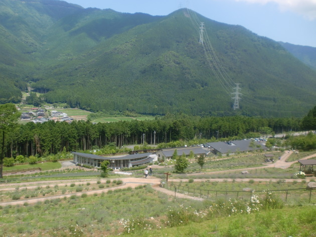 d0154954_11144876.jpg