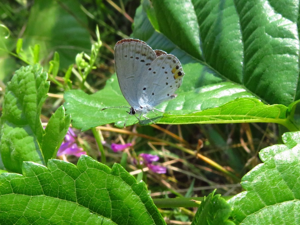a0018655_13010156.jpg