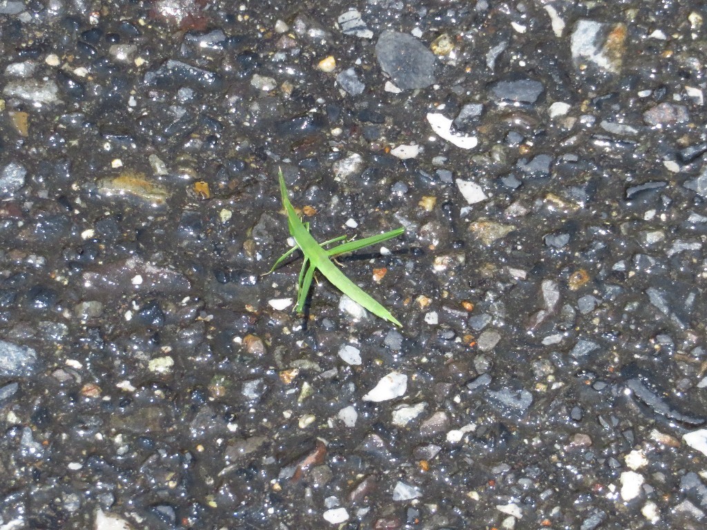 a0018655_13102791.jpg