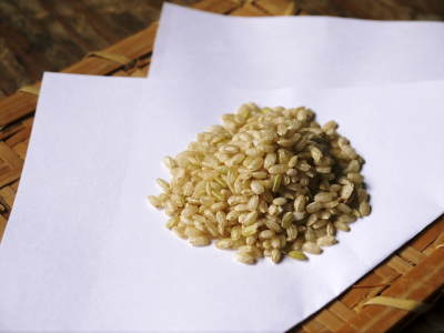 健康農園さんの無農薬栽培『雑穀米』『発芽玄米』大好評販売中！平成30年度の田植えの様子を現地取材！_a0254656_17185994.jpg