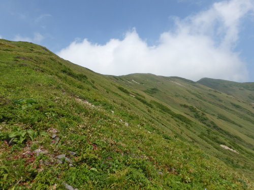 b0335256_22375672.jpg