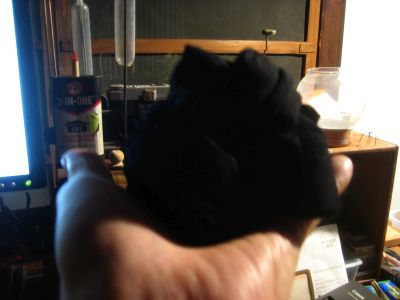 b0042462_20331727.jpg