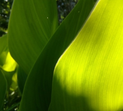 b0368362_09535447.jpg