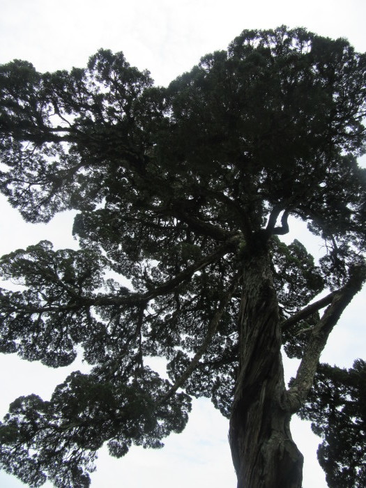 f0113862_12241881.jpg