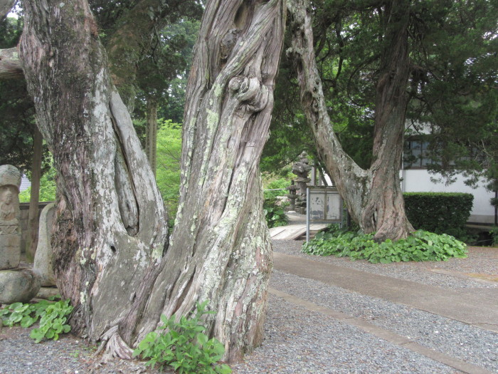 f0113862_12284076.jpg