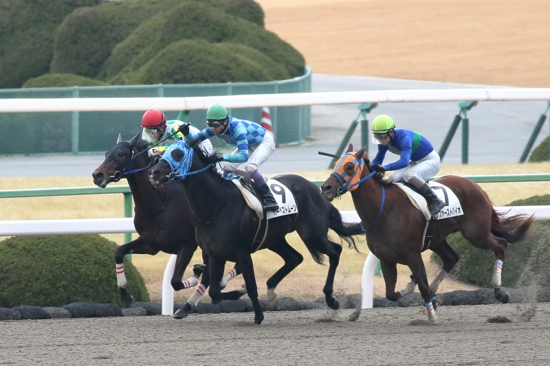 1月28日 JRA京都競馬場 レース編_a0077663_07100923.jpg