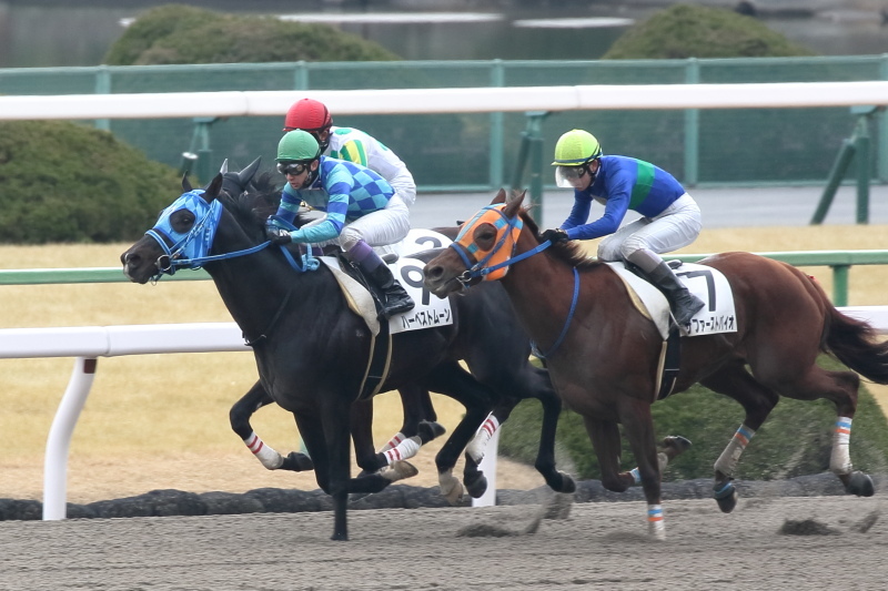 1月28日 JRA京都競馬場 レース編_a0077663_07101206.jpg