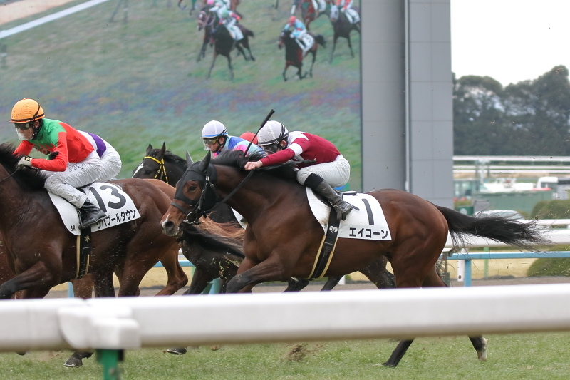 1月28日 JRA京都競馬場 レース編_a0077663_07102006.jpg