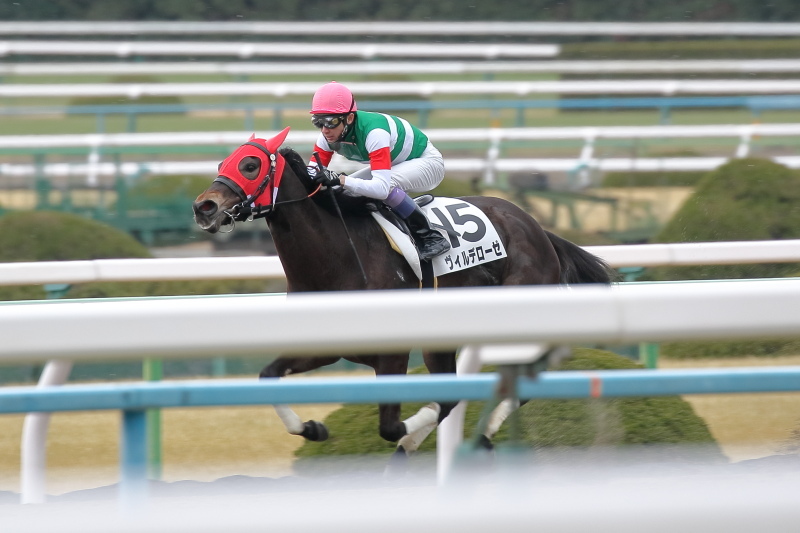 1月28日 JRA京都競馬場 レース編_a0077663_07102337.jpg