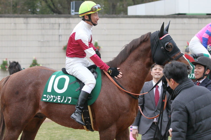 1月28日 JRA京都競馬場 レース編_a0077663_07103171.jpg