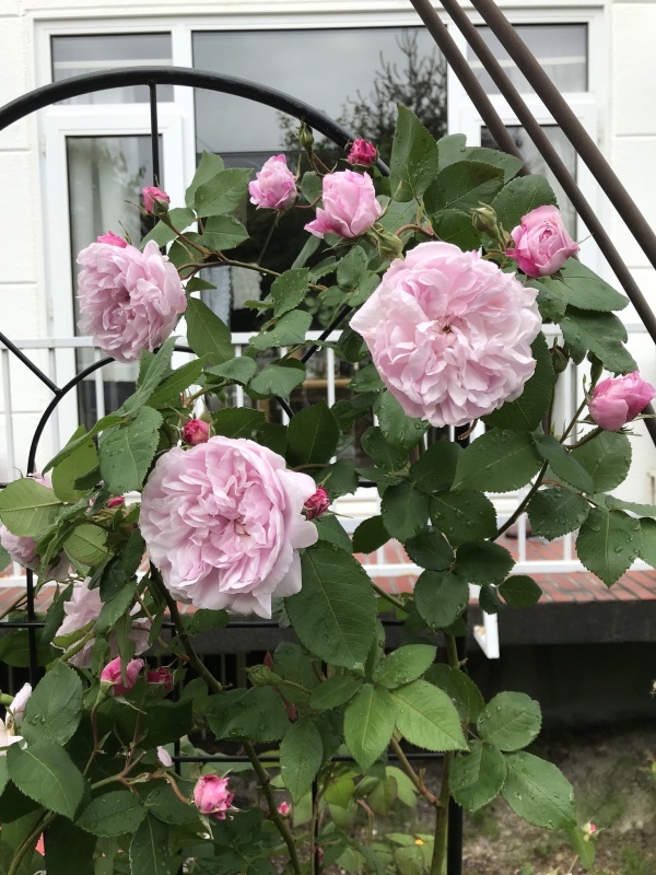 d0320463_14242547.jpeg