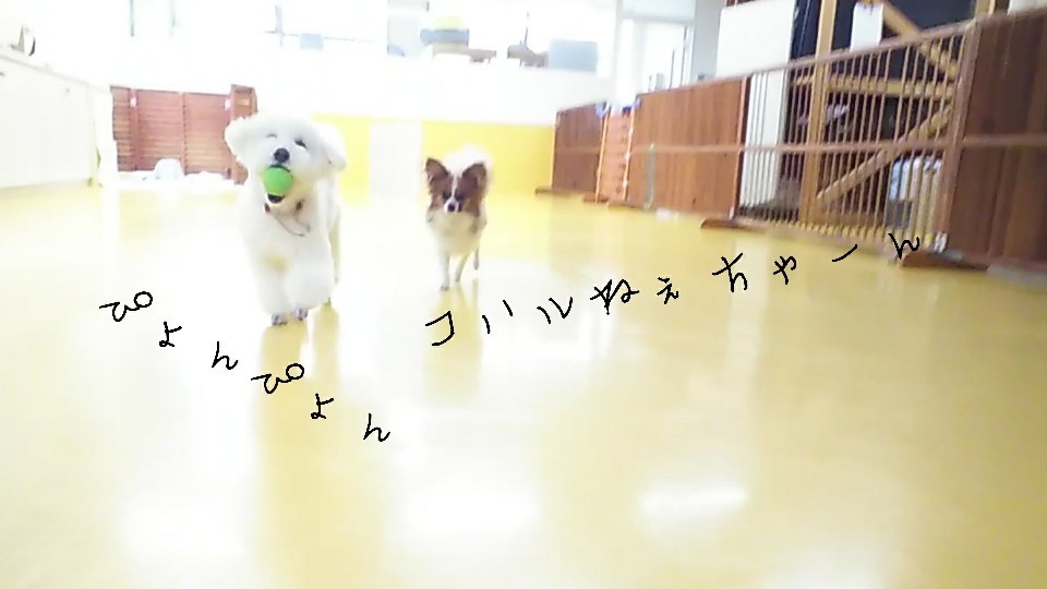 まってぇ~➰➰_f0357682_12184420.jpg