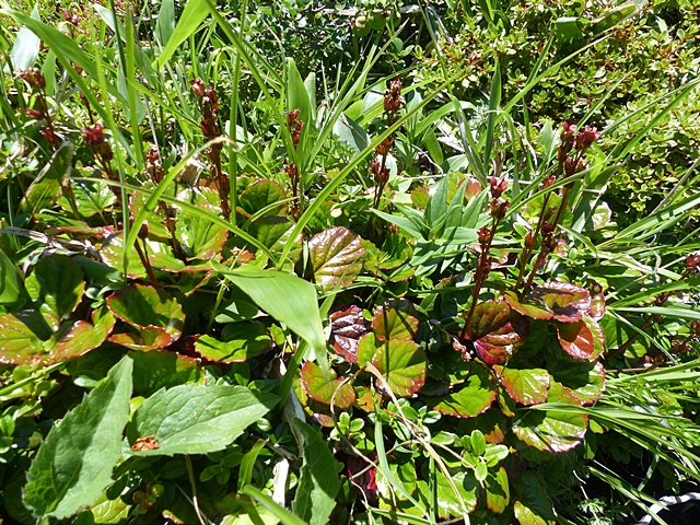 f0357487_02712.jpg