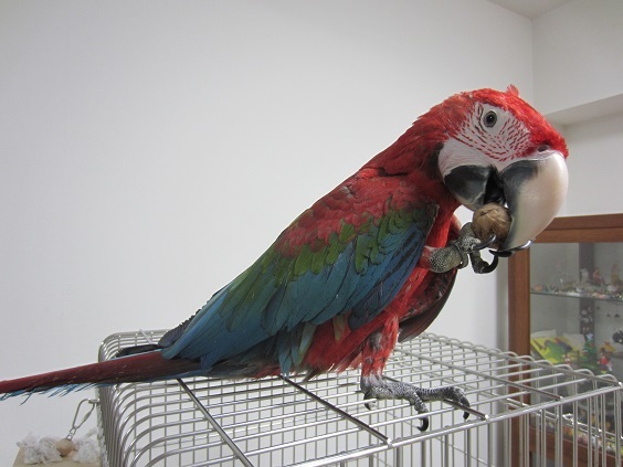 f0234590_12460266.jpg