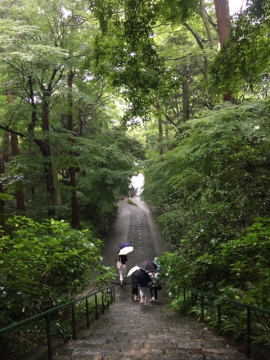 雨にも負けず、週末の鎌倉散策～妙本寺_c0339296_23062393.jpg