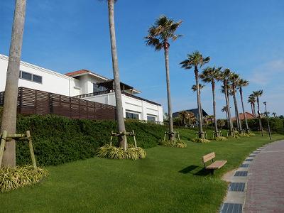 b0051598_21210750.jpg