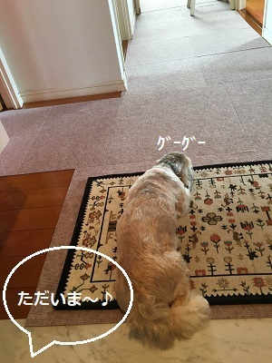 f0372998_17173833.jpg