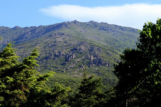 e0137200_22363957.jpg