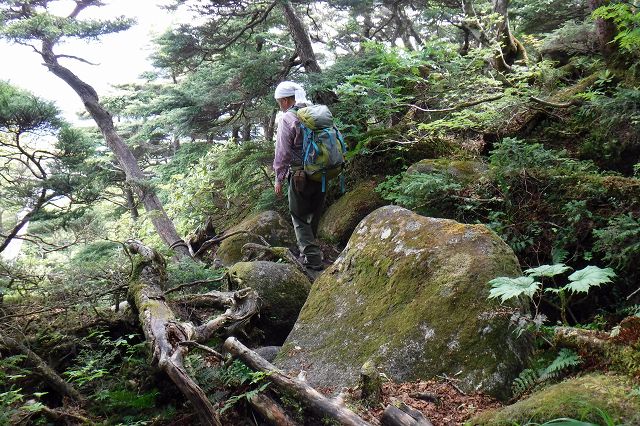 e0137200_22404345.jpg