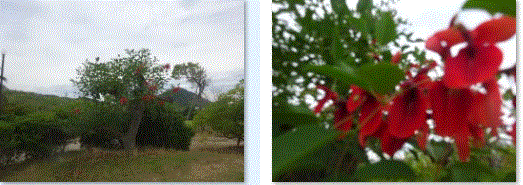 f0231709_04452985.gif