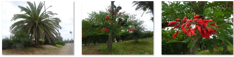 f0231709_04462339.gif