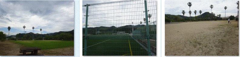 f0231709_04523139.gif