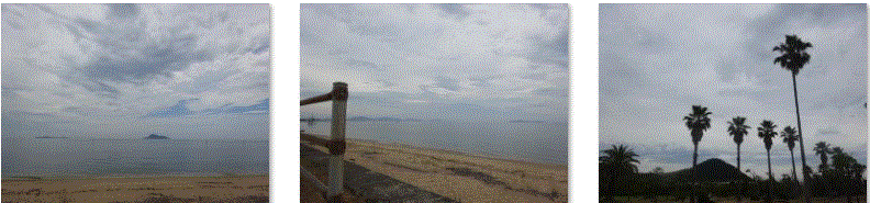f0231709_04552499.gif