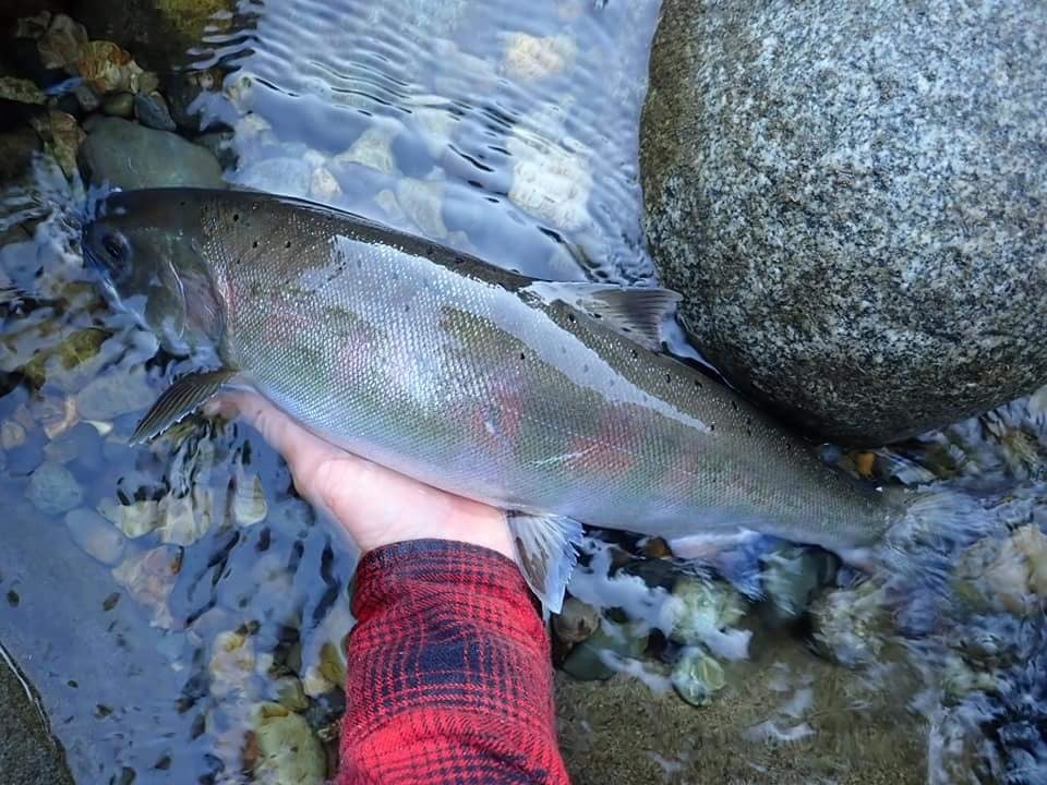 仲間からの釣果の便り_c0321212_17141910.jpg